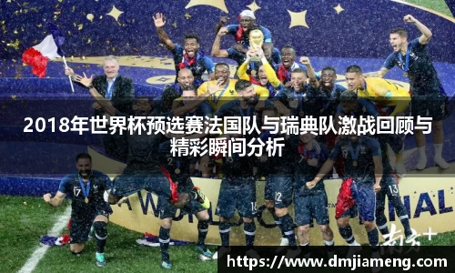 2018年世界杯预选赛法国队与瑞典队激战回顾与精彩瞬间分析