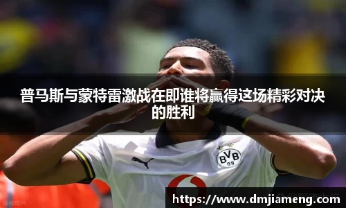 凤凰联盟平台