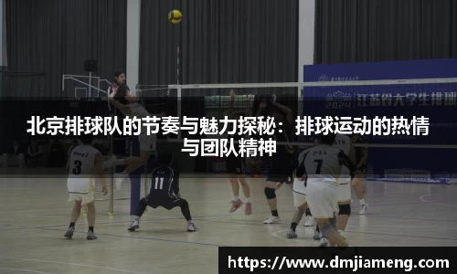北京排球队的节奏与魅力探秘：排球运动的热情与团队精神