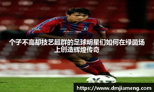 个子不高却技艺超群的足球明星们如何在绿茵场上创造辉煌传奇